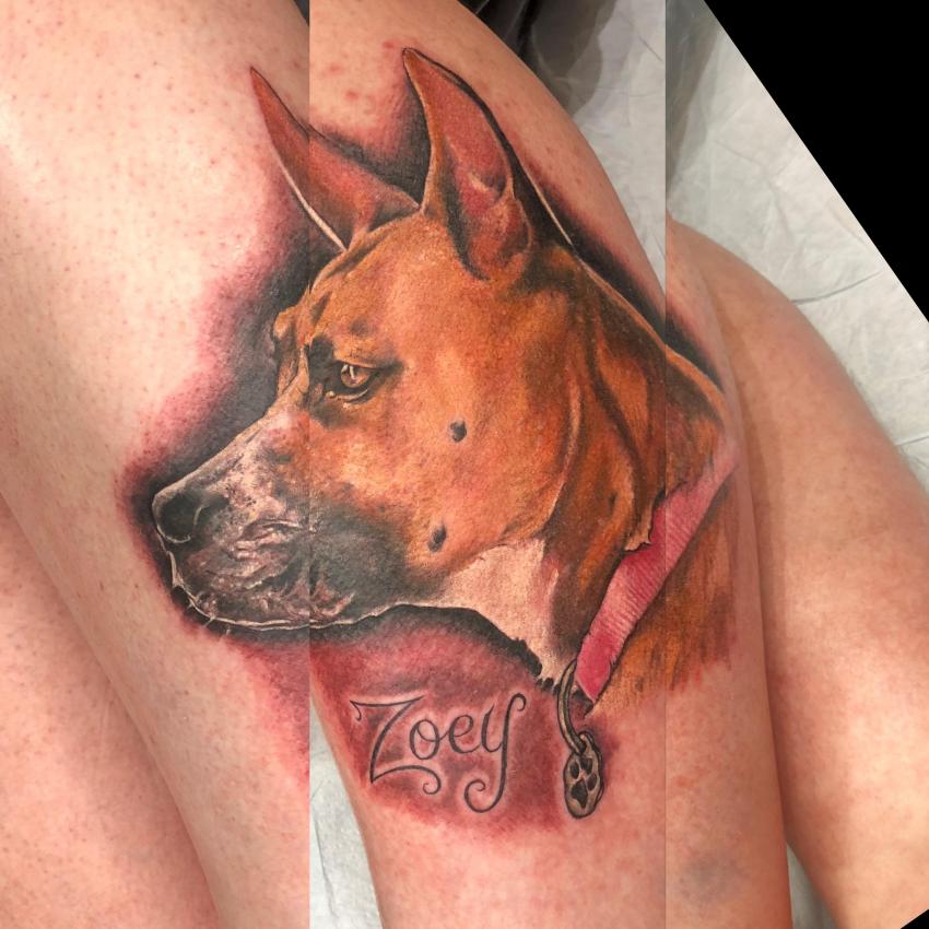 Eric Alvino's portfolio