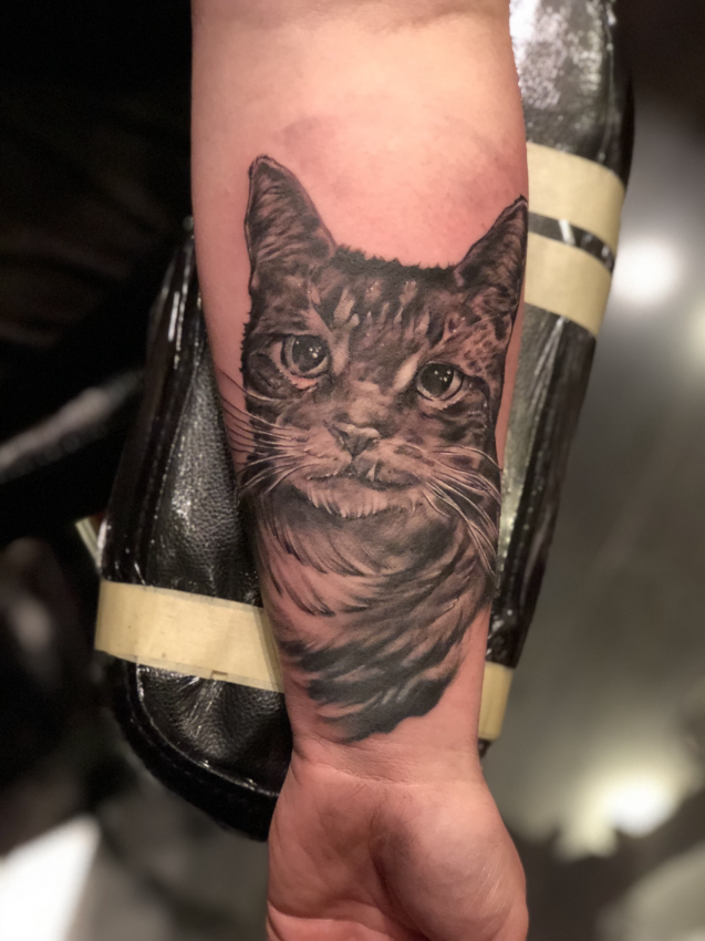 Eric Alvino's portfolio