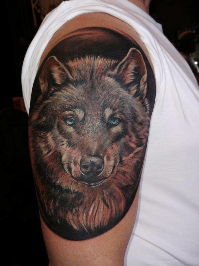 Eric Alvino's portfolio