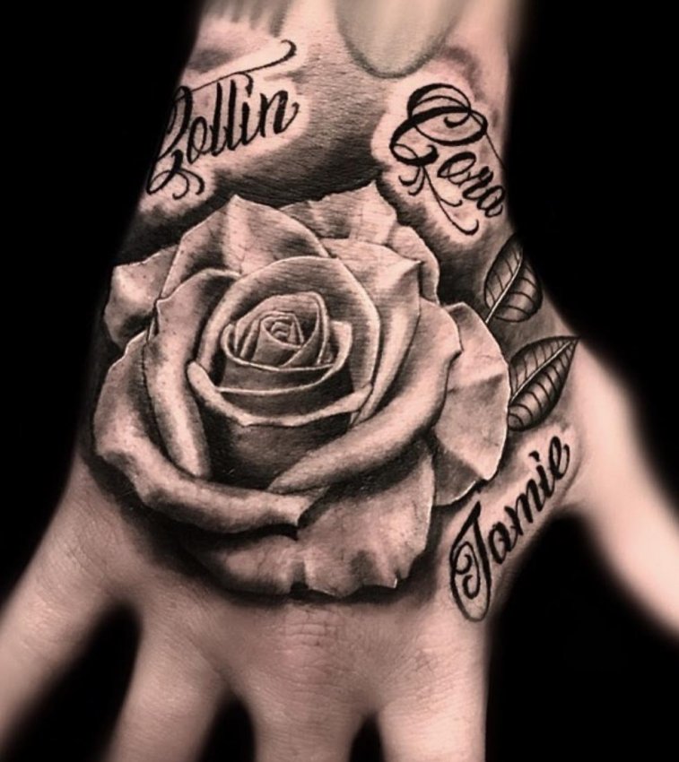 Steven Banegas' portfolio